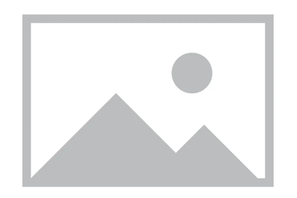 Another Shot at Digital Gold: Community Revives $GOLD Coin Amid Meme Meta Resurgence